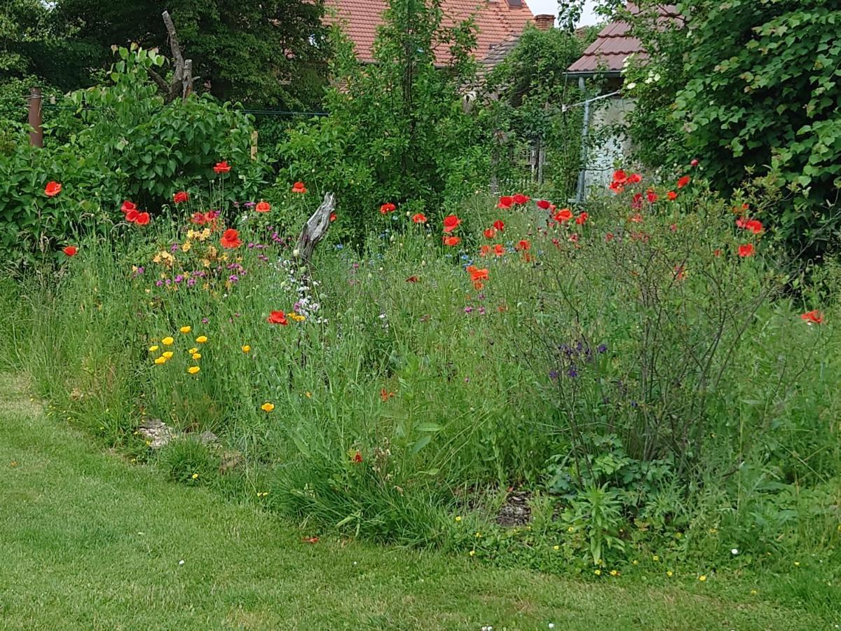 Ferienhof-Rietschen-Neuliebel Eksteriør bilde